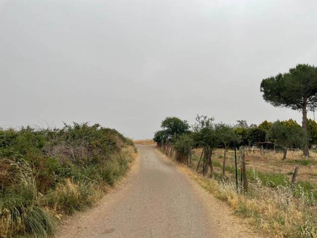 Terreno in vendita a Vetralla, Lazio