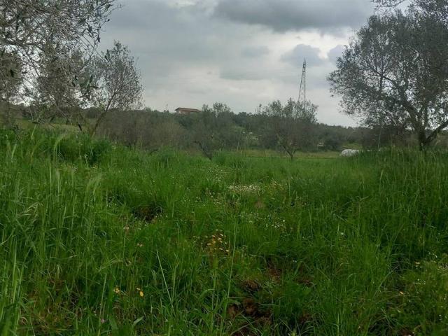 Terreno in vendita a Viterbo, Lazio