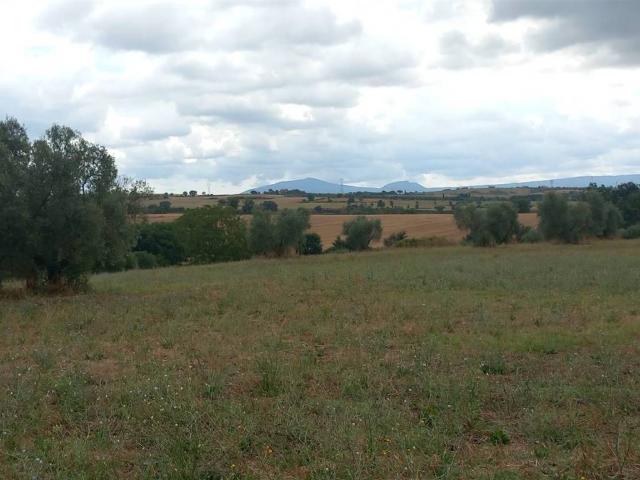 Terreno in vendita a Viterbo, Lazio