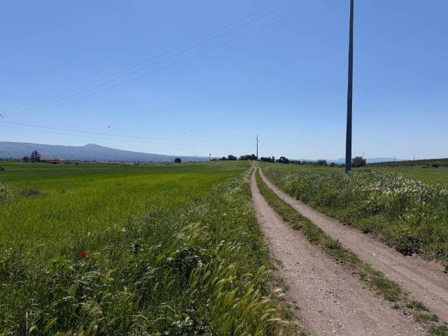 Terreno in vendita a Viterbo, Lazio