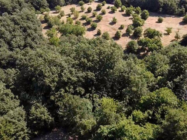 Terreno in vendita a Borgo Le Carcarelle, Viterbo