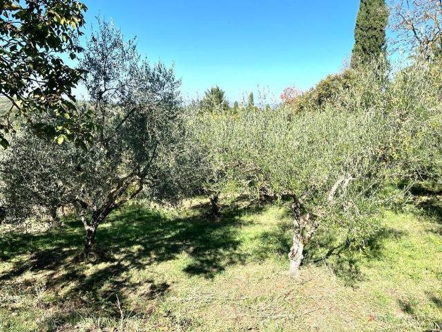 Terreno in vendita a Viterbo, Lazio