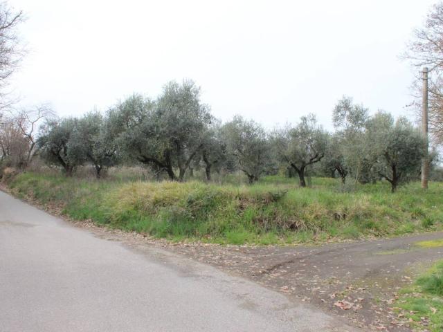 Terreno in vendita a Vitorchiano, Lazio