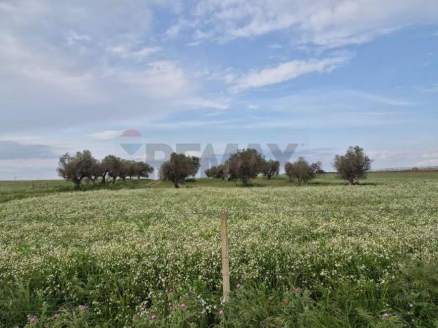 Terreno in vendita a Vittoria, Sicilia