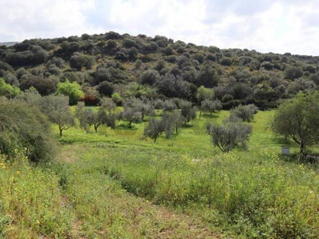 Terreno in vendita a Vittoria, Sicilia