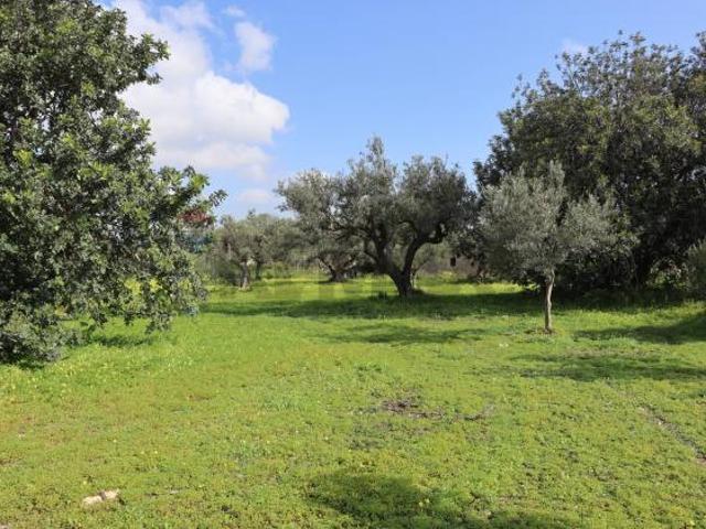 Terreno in vendita a Vittoria, Sicilia
