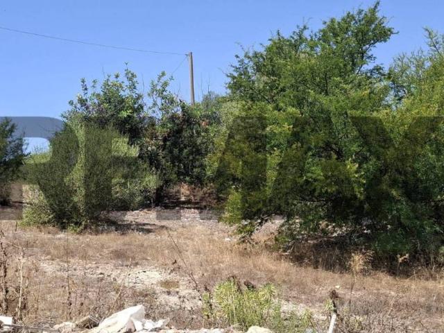 Terreno in vendita a Vittoria, Sicilia