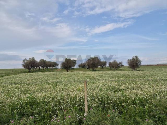 Terreno in vendita a Vittoria, Sicilia