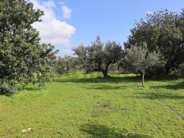 Terreno in vendita a Vittoria, Sicilia
