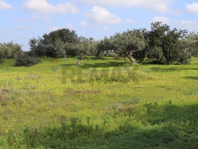 Terreno in vendita a Vittoria, Sicilia