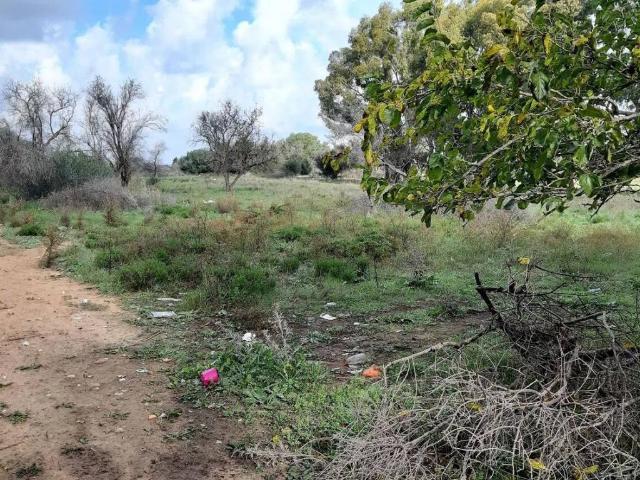 Terreno in vendita a Vittoria, Sicilia