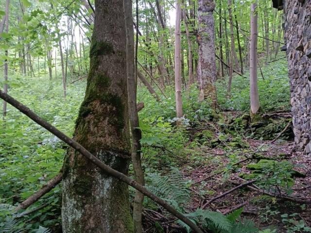 Terreno in vendita a Unione Montana Alpi Graie, Piemonte