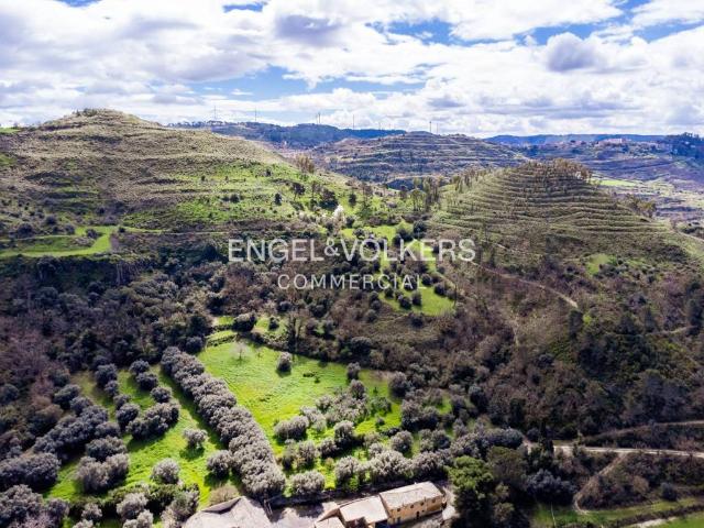 Terreno in vendita a Cunzirìa, Vizzini
