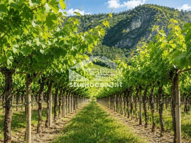 Terreno in vendita a Comunità della Vallagarina, Volano