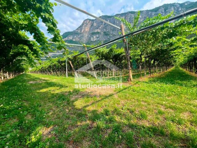 Terreno in vendita a Comunità della Vallagarina, Volano