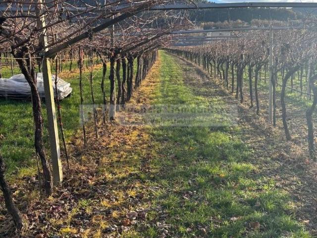 Terreno in vendita a Comunità della Vallagarina, Volano