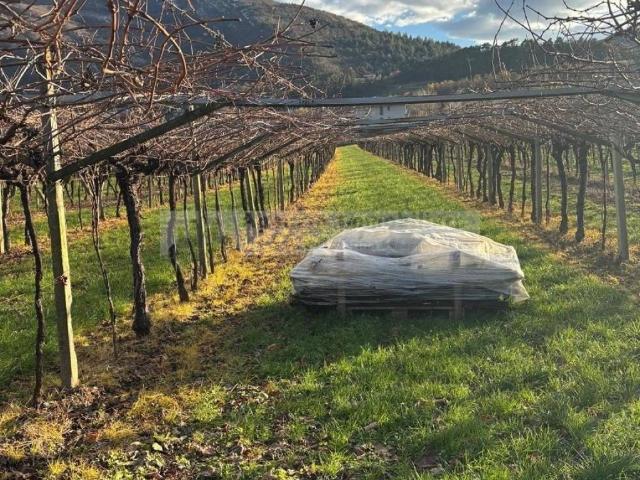Terreno in vendita a Comunità della Vallagarina, Volano