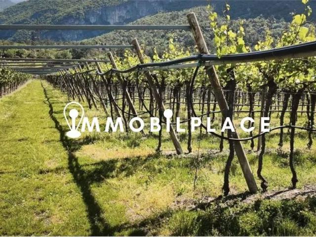Terreno in vendita a Comunità della Vallagarina, Volano