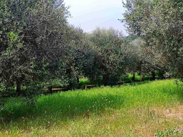 Terreno in vendita a Volta Mantovana, Lombardia