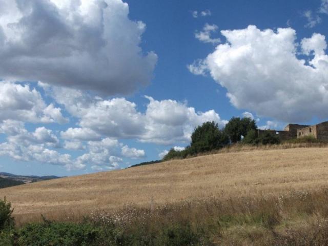 Terreno in vendita a Volterra, Toscana