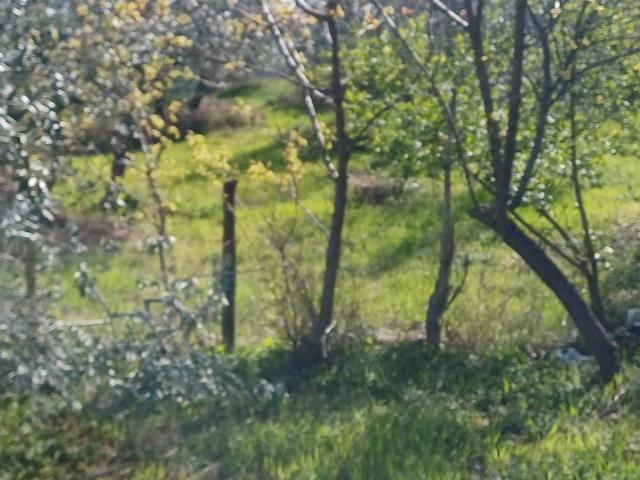 Terreno in vendita a Volterra, Toscana
