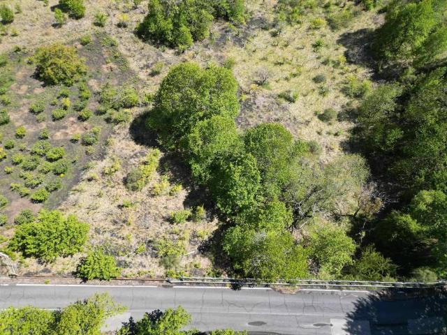 Terreno in vendita a Zafferana Etnea, Sicilia