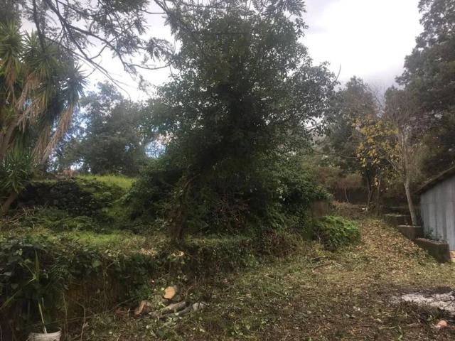 Terreno in vendita a Pisano, Zafferana Etnea