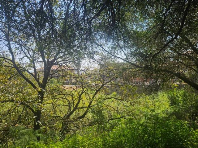 Terreno in vendita a Zafferana Etnea, Sicilia