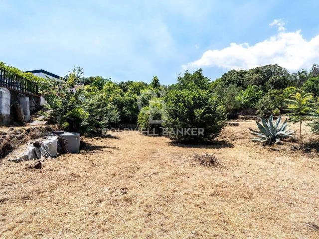 Terreno in vendita a Pisano, Zafferana Etnea
