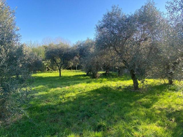 Terreno in vendita a Roma Capitale, Lazio