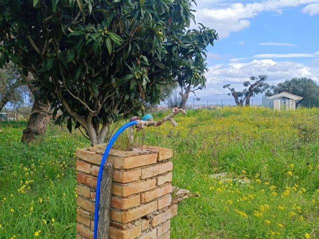 Terreno in vendita a Calabria, Vibo Valentia