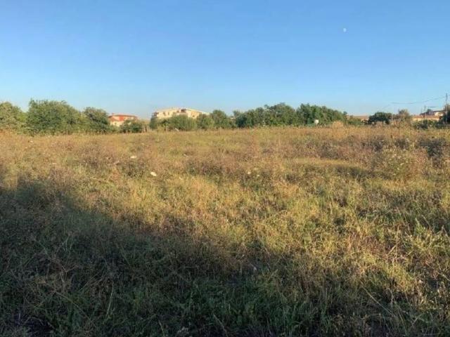 Terreno in vendita a Calabria, Vibo Valentia