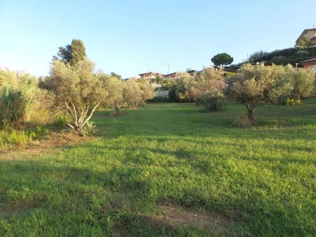 Terreno in vendita a Calabria, Vibo Valentia
