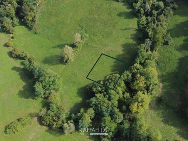 Terreno in vendita a Selva, Zandobbio