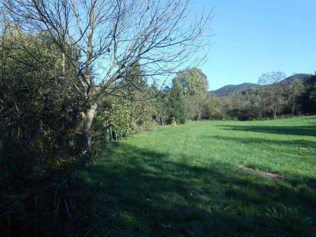 Terreno in vendita a Selva, Zandobbio