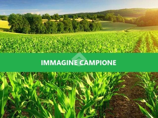 Terreno in vendita a Zanica, Lombardia