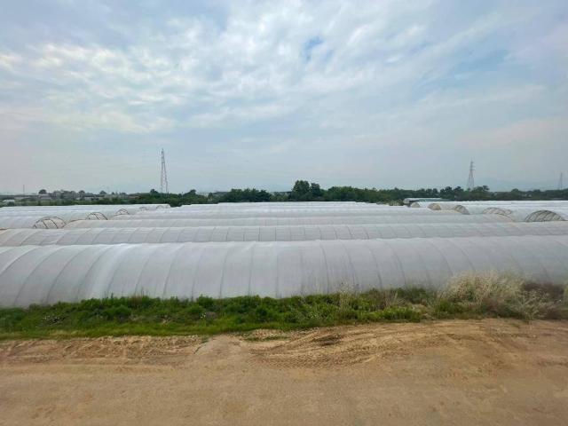 Terreno in vendita a Zanica, Lombardia