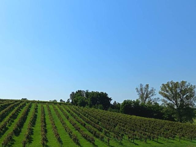 Terreno in vendita a Zenevredo, Lombardia
