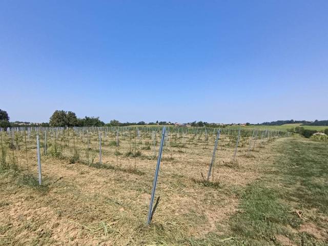 Terreno in vendita a Zenevredo, Lombardia