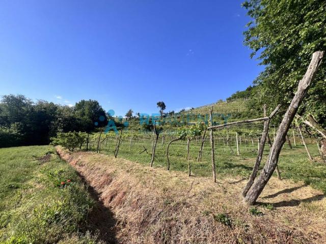 Terreno in vendita a Zermeghedo, Veneto