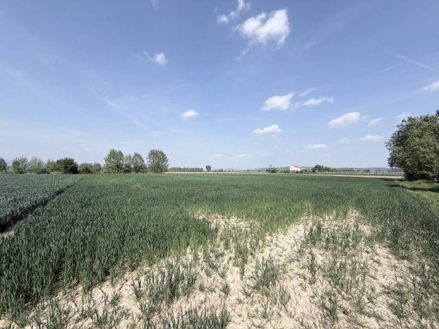 Terreno in vendita a Zimella, Veneto