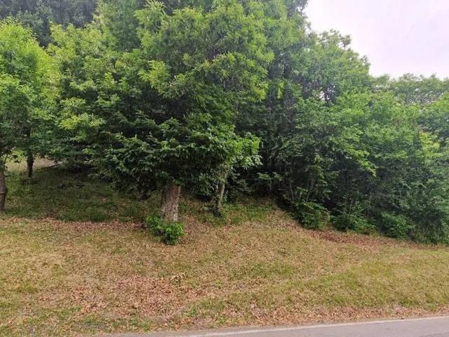 Terreno in vendita a Unione di comuni Terre di Castelli, Zocca