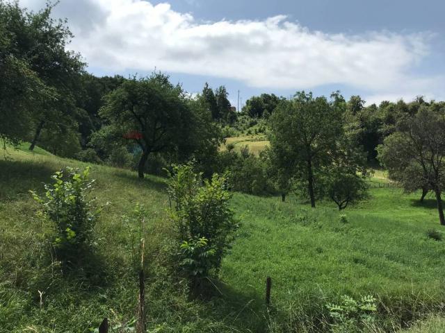 Terreno in vendita a Comunità Montana della Valle Brembana, Zogno