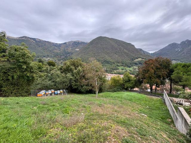 Terreno in vendita a Zone, Brescia