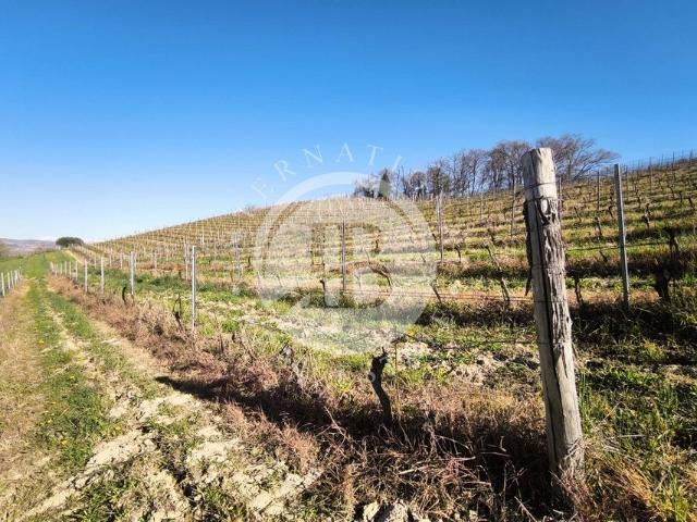 Terreno in vendita a Piemonte, Cuneo