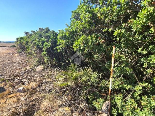Terreno in vendita a Calasetta, Sardigna/Sardegna