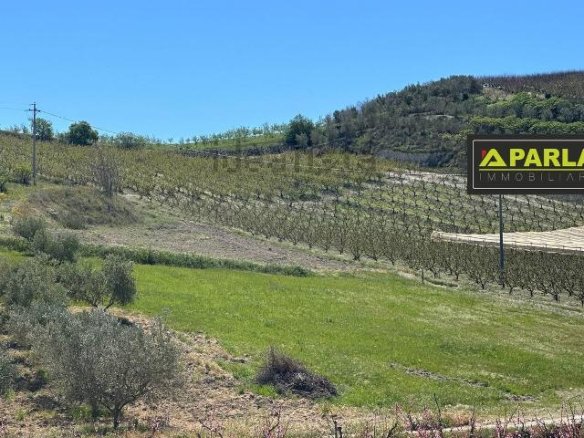 Terreno in vendita a Delia, Caltanissetta