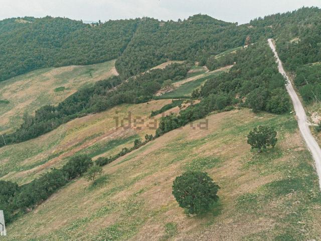Terreno in vendita a Saligata, Sarsina