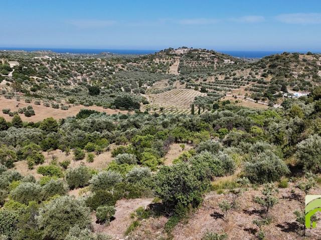 Terreno in vendita a Noto, Sicilia