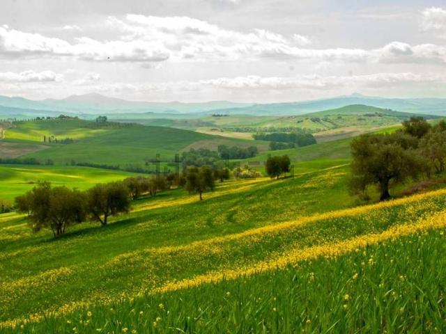 Terreno in vendita a Marche, Fermo